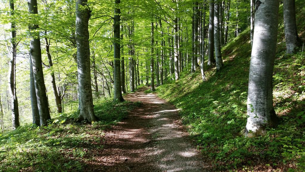 Ferienapartment Opitz - Zugspitzregion Ohlstadt Exteriör bild